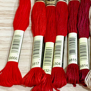 Red and Brown :  6 Strand Embroidery Floss